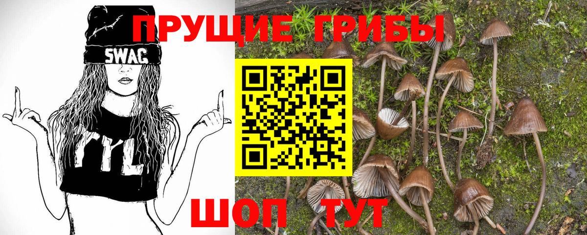 Галлюциногенные грибы прущие грибы Камень-на-Оби