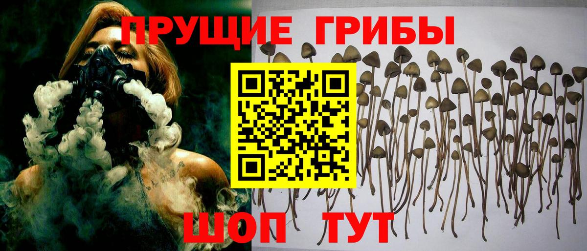 Псилоцибиновые грибы MAGIC MUSHROOMS  Вход с VPN  Галлюциногенные грибы мицелий  Камень-на-Оби 